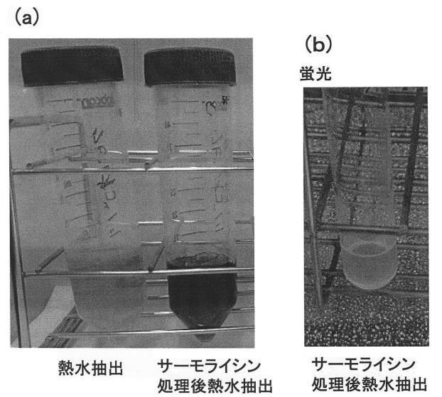 6617230-フィコエリスロビリン含有オリゴペプチドおよびその製造法並びにその利用 図000009