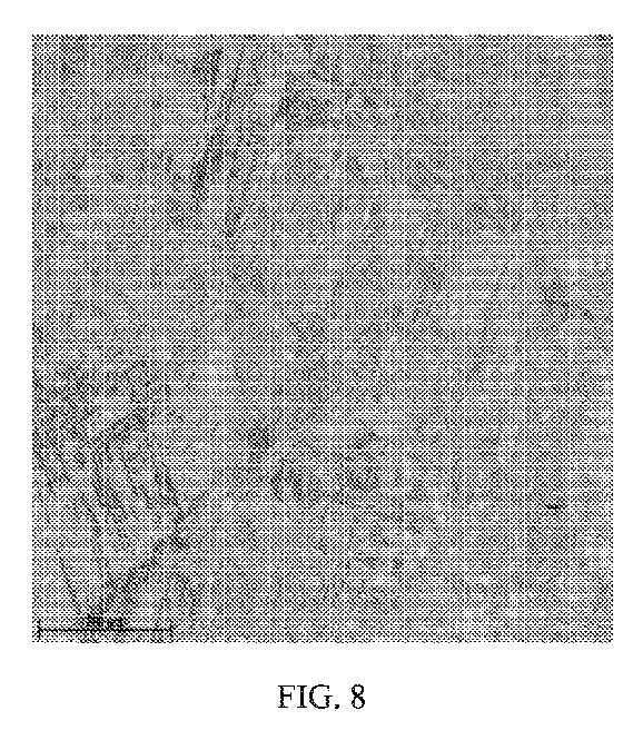 6626441-鍛造製品および他の加工製品の製造方法 図000009