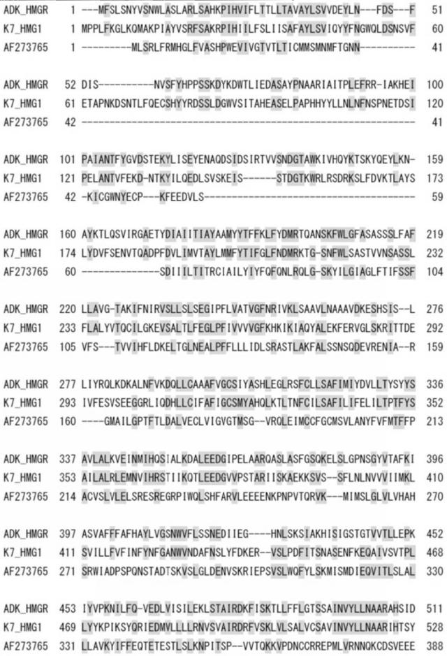 6626819-変異酵素及び前記変異酵素を用いたテルペノイドの製造方法 図000009