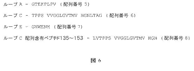 6764790-視神経脊髄炎の治療に対する高可溶性アクアポリン−４細胞外ループペプチド免疫化 図000009