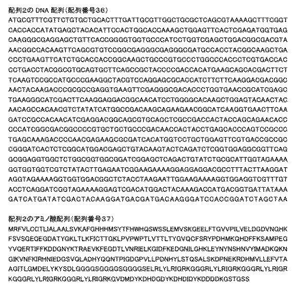 6810470-融合タンパク質を含むシルク繊維及び該シルク繊維の製造方法 図000009
