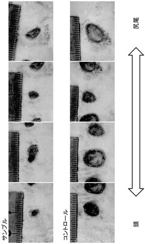 6871947-亜鉛イオン徐放性に優れる塩化水酸化亜鉛およびその製造方法 図000009