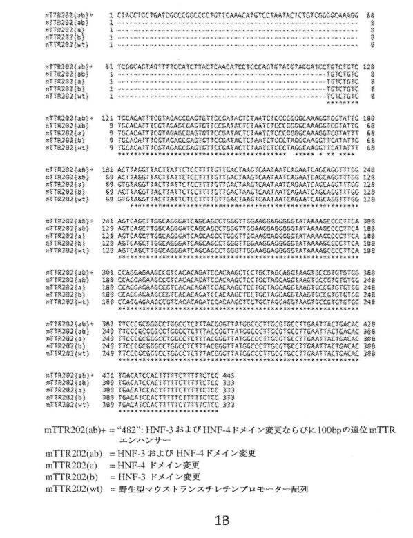 6878299-オーバーサイズアデノ随伴ベクターの産生 図000009