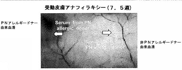 6878301-アレルゲンに対する反応を予防するための遺伝子治療 図000009