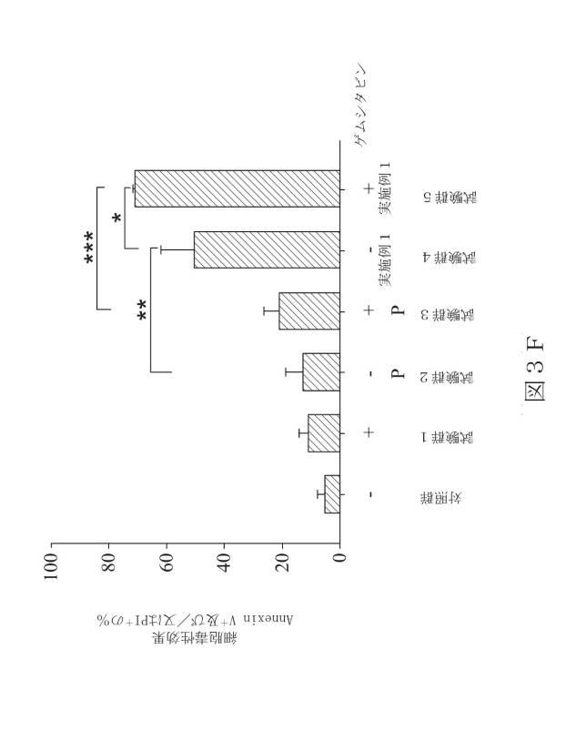 6929928-ＨＬＡ−Ｇ特異的キメラ抗原受容体、核酸、ＨＬＡ−Ｇ特異的キメラ抗原受容体発現プラスミド、ＨＬＡ−Ｇ特異的キメラ抗原受容体発現細胞及び癌治療用の医薬組成物 図000009