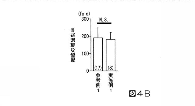 6978045-未分化幹細胞を培養し心筋細胞を分化誘導するシステム及び心筋細胞の製造方法 図000009