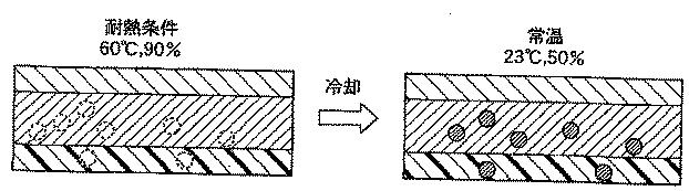 5757809-積層体および該積層体を有するタッチパネル 図000010