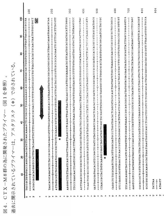 5766618-基質特異性拡張型β−ラクタマーゼの検出方法および同定方法 図000010