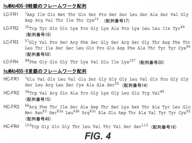 5814925-抗ヘプシン抗体及びその使用方法 図000010