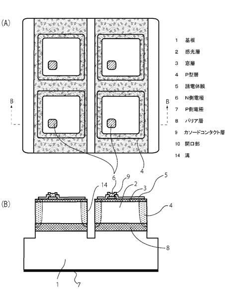 5942068-化合物半導体受光素子アレイ 図000010