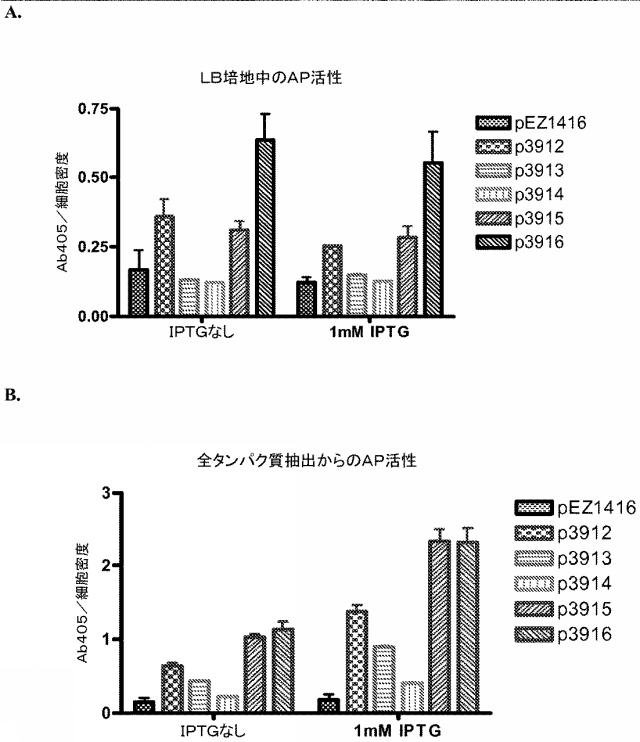 5955773-改善された細菌膜タンパク質分泌 図000010