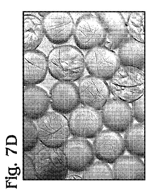 5963683-カプセル化された小滴に関するエマルジョンの化学およびアッセイ 図000010