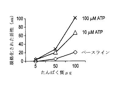 6005651-トランスフェラーゼの活性同定方法 図000010