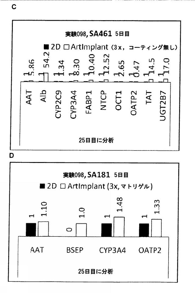 6025715-多能性幹細胞の肝細胞への分化を向上する三次元スキャホールド 図000010