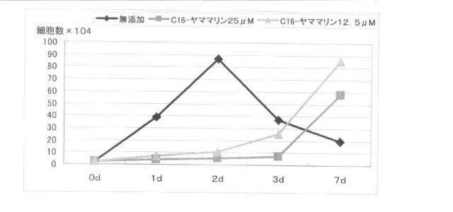 6027300-細胞または臓器の保存液および保存方法 図000010