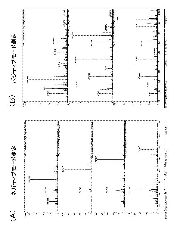 6053725-銅系ナノ粒子分散液とその製造方法及びその分散液から製造される銅導体膜が形成された基材 図000010