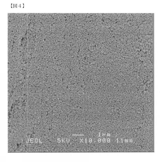 6072967-リン酸カルシウム焼結体粒子の製造方法 図000010