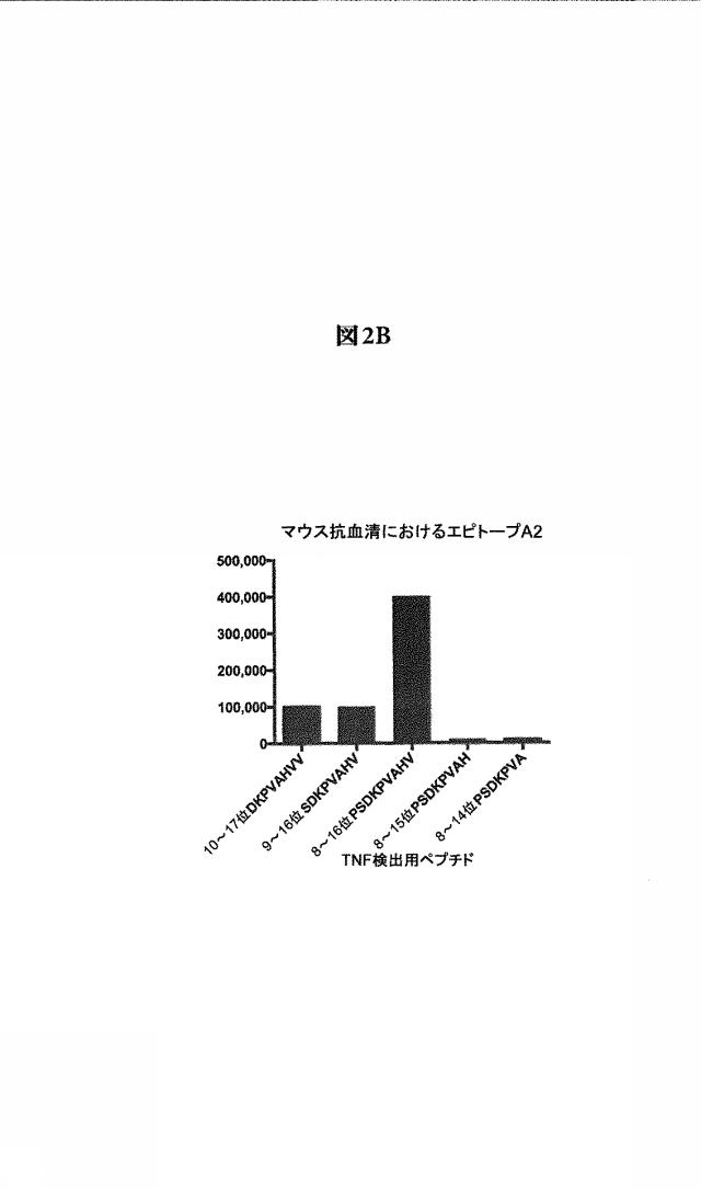 6134392-循環している生物学的に活性な可溶性ＴＮＦの選択的低減用の組成物およびＴＮＦ媒介性疾患を処置する方法 図000010