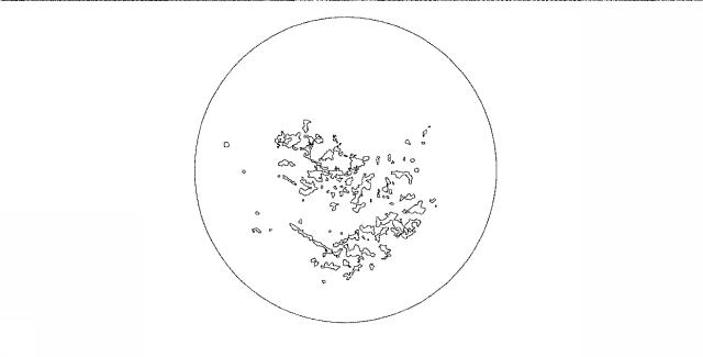 6189902-文化財の表面から白化した合成樹脂を除去する方法 図000010