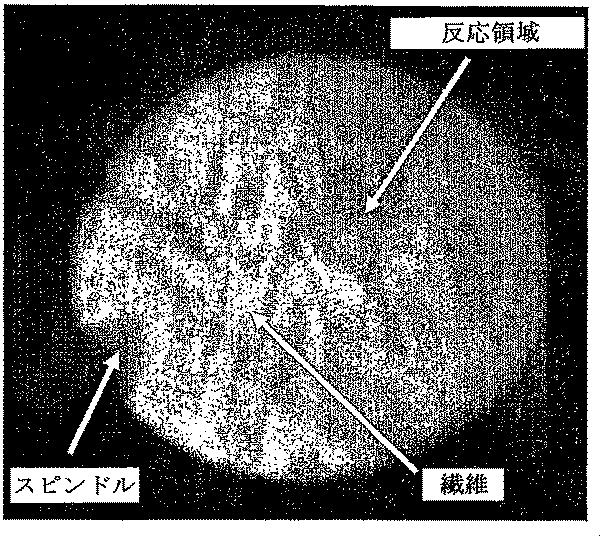 6243880-凝集物の製造方法 図000010