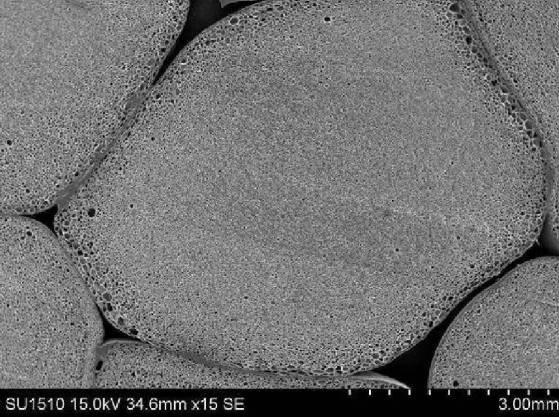 6253839-エステル系エラストマー発泡成形体、その用途及びエステル系エラストマー発泡粒子 図000010