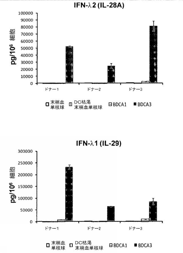 6263559-従来型樹状細胞によるＩＦＮ‐ラムダの産生及びその使用 図000010