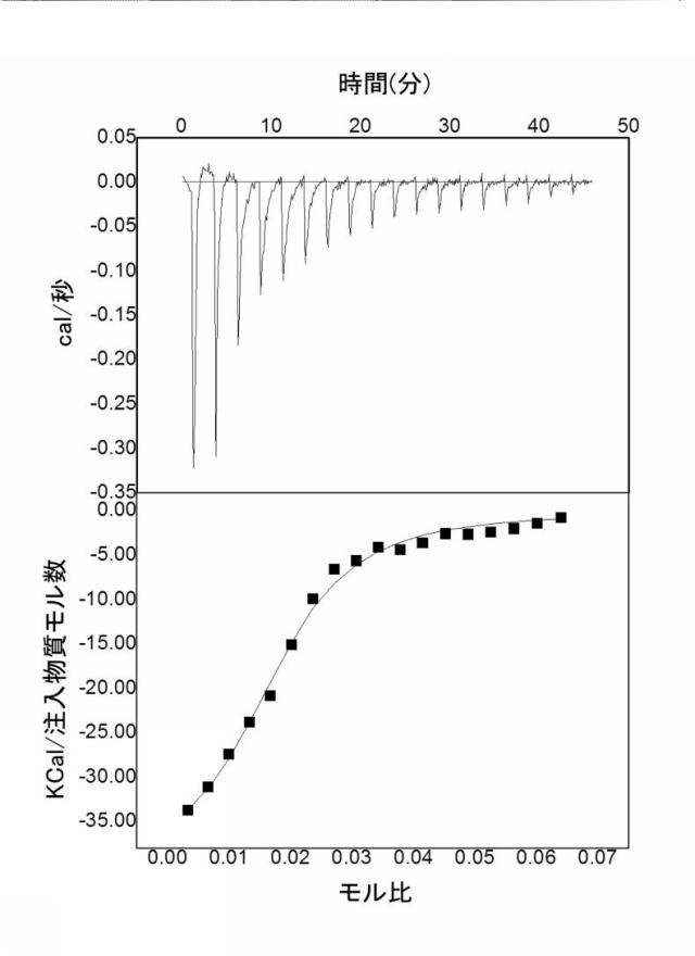 6313478-ＭＡＧＥ−Ａ３ペプチド標的アプタマー及びその使用 図000010