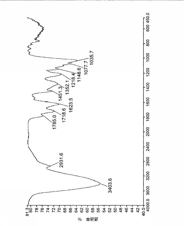 6329234-ミトコンドリアを改善する方法および幹細胞の細胞分裂を促進する方法 図000010