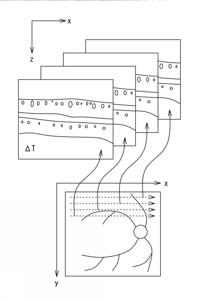 6402921-光コヒーレンストモグラフィ装置、および速度測定用プログラム 図000010