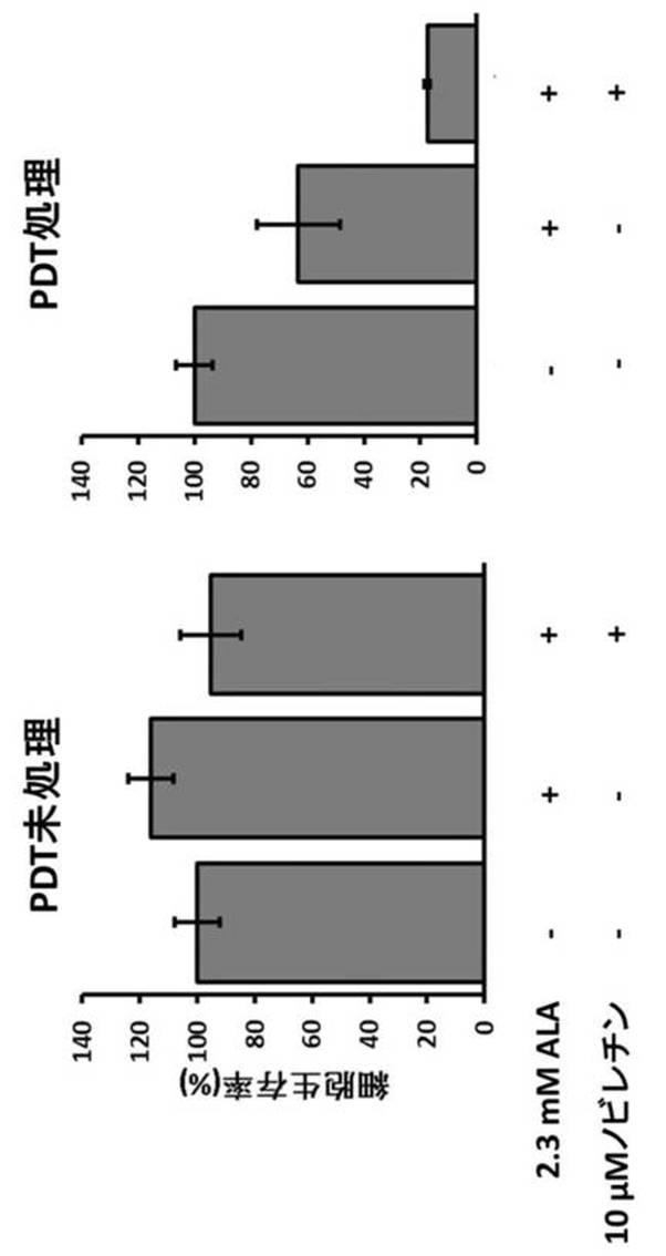 6417477-ＡＬＡ−ＰＤＴ又はＡＬＡ−ＰＤＤにおける光線力学的効果の増強剤 図000010