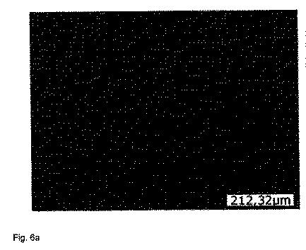 6423416-焼結が難しい貴金属表面および非貴金属表面上に酸化銀が被覆された焼結ペースト 図000010