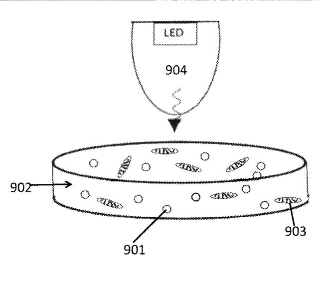 6430453-光合成生物の成長を促進するための量子ドットＬＥＤ 図000010