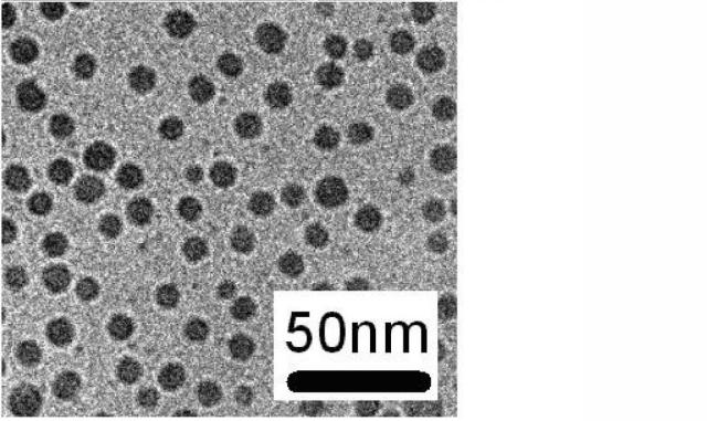 6436305-金属微粒子の製造方法および金属微粒子の製造装置 図000010