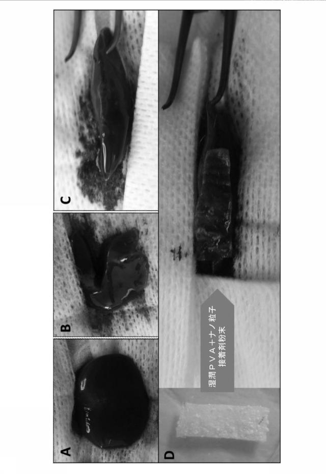 6437552-組織表面及び材料を接着する方法、並びにその生物医学的使用 図000010