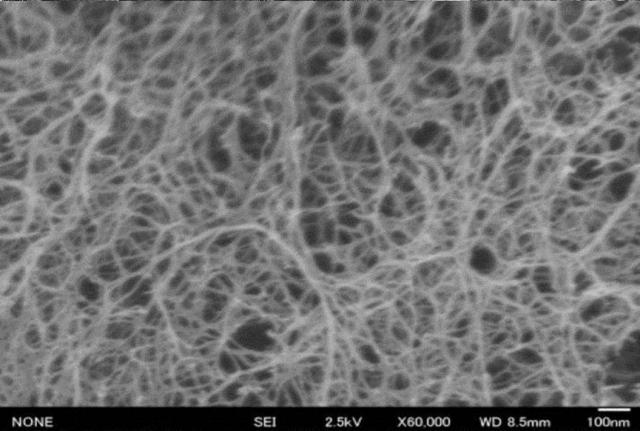 6497740-β−キチンナノファイバーおよびその製造方法 図000010