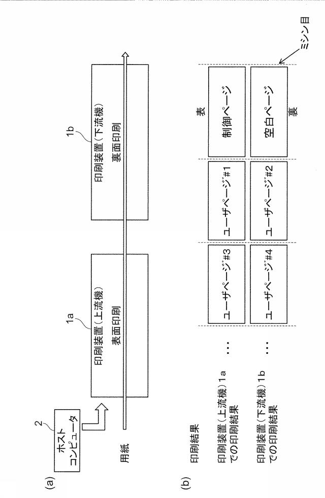 6503858-印刷装置、印刷システム及びプログラム 図000010