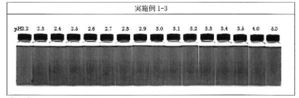6521600-耐酸性を有するクチナシ色素製剤 図000010