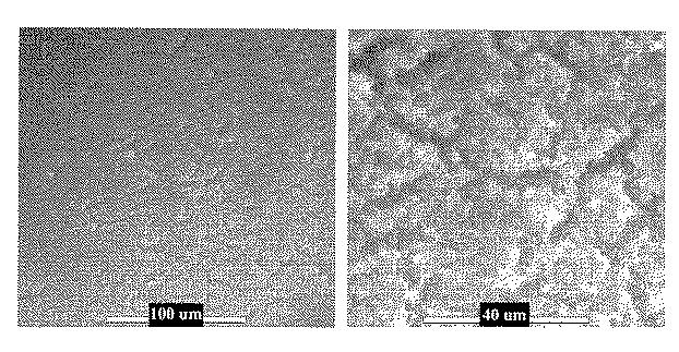 6552822-治療用生物薬剤及び小分子の貯蔵及び送達のためのクロマトグラフィー媒体 図000010