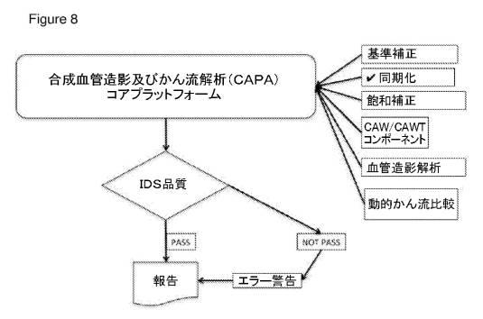 6561180-血管造影及びかん流の定量化並びに解析手法 図000010