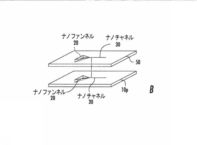 6633682-流体ナノファンネルを有する装置、関連する方法、製造及び解析システム 図000010