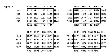 6684229-ウェーブレット変換行列に適応可能な高精度化及び量子化方法 図000010