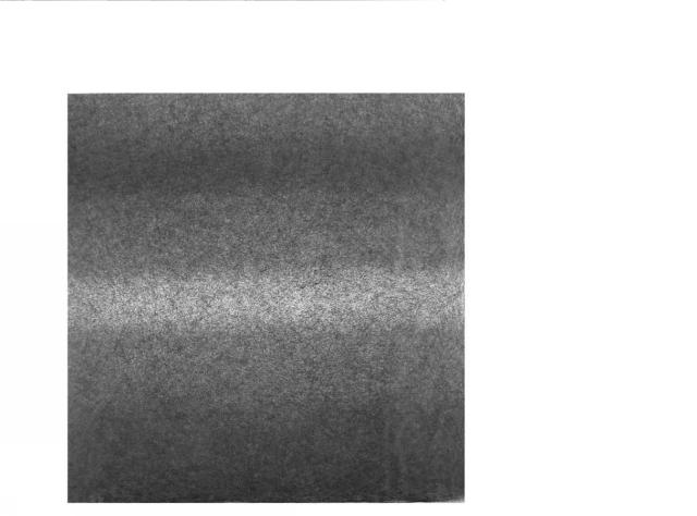 6700049-炭素繊維シート材、プリプレグ、積層体、成形体及びそれらの製造方法 図000010