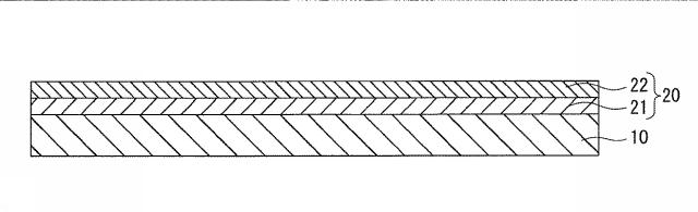 6774899-ホール素子及びホール素子の製造方法 図000010