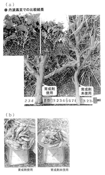 6778922-天然物由来成分含有組成物の製造方法、天然物由来成分含有組成物、これを用いた機能性飲食料品 図000010