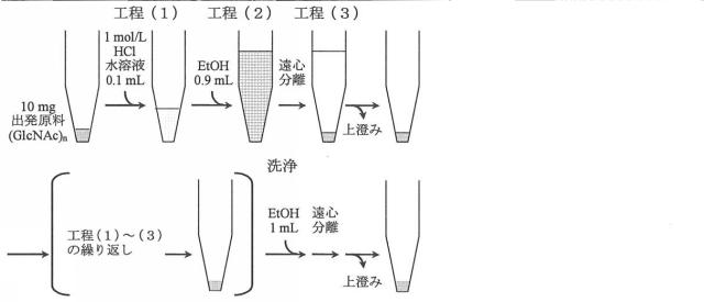 6789552-キチンオリゴ糖の単離精製方法 図000010