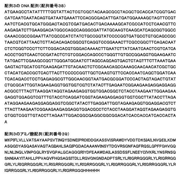 6810470-融合タンパク質を含むシルク繊維及び該シルク繊維の製造方法 図000010