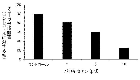 6952980-血管新生阻害薬 図000010