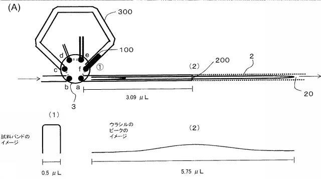 6963434-試料導入方法及び試料導入装置 図000010