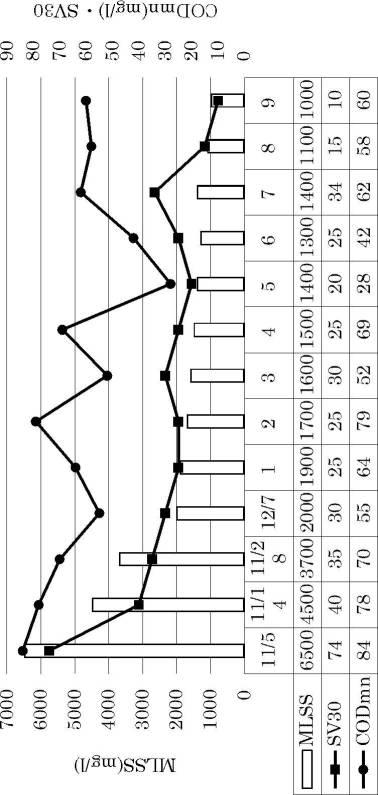 6977961-水質浄化システム 図000010