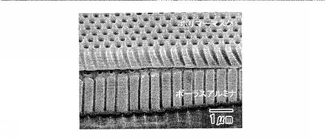 5739107-多孔質構造材料の製造方法 図000011